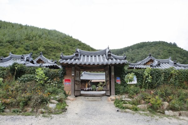Taebaek Traditional Korean Guesthouse