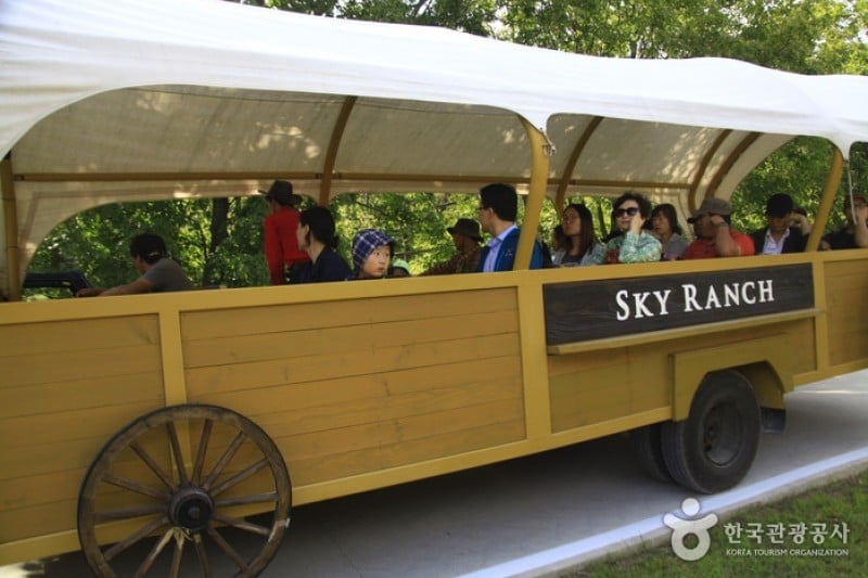 Daegwallyeong Skyranch 