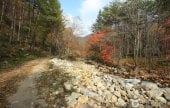 Gyebangsan Mountain - Pyeongchang (계방산 (평창))