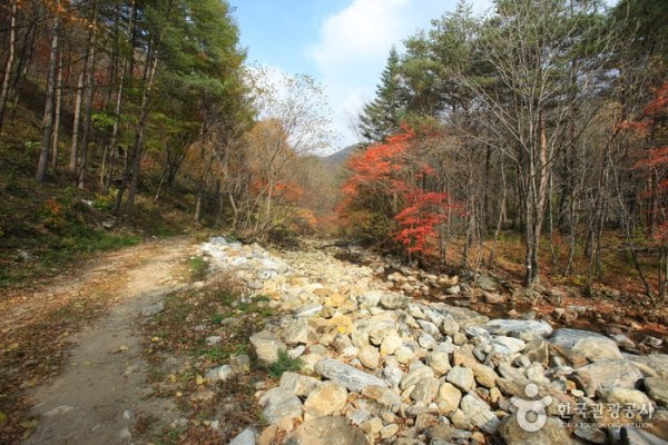 Gyebangsan Mountain