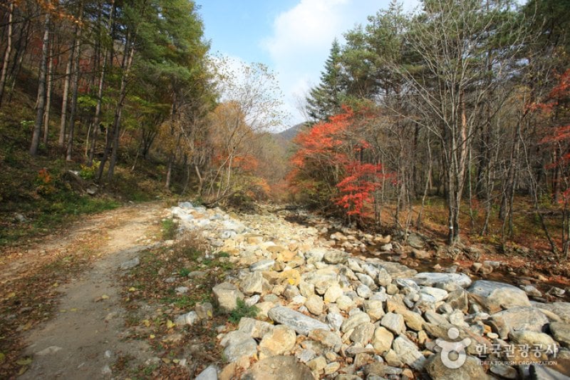 Gyebangsan Mountain - Pyeongchang (계방산 (평창)) (1/6)