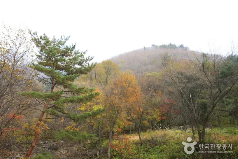 Gyebangsan Mountain - Pyeongchang (계방산 (평창)) (2/6)