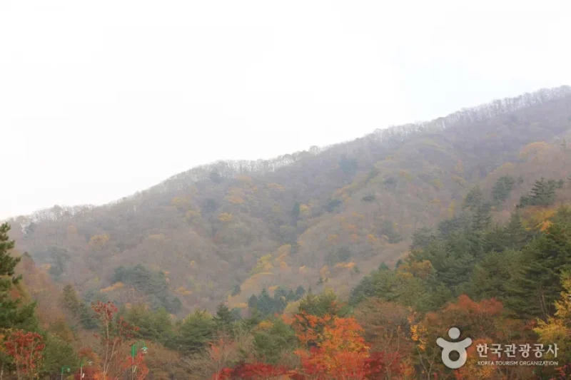 Gyebangsan Mountain - Pyeongchang (계방산 (평창)) (3/6)
