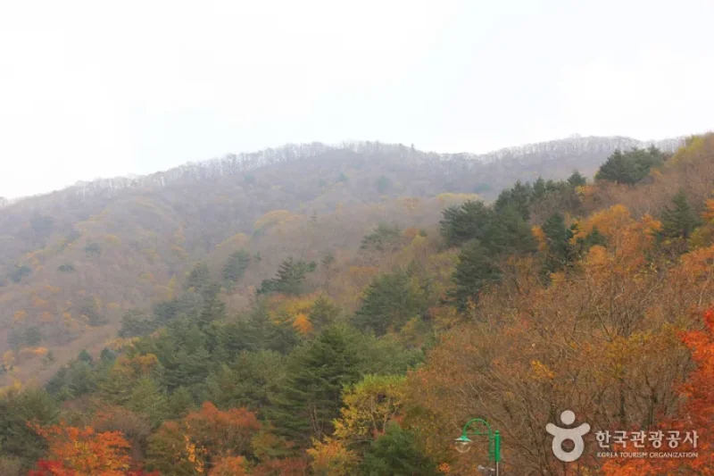 Gyebangsan Mountain - Pyeongchang (계방산 (평창)) (4/6)