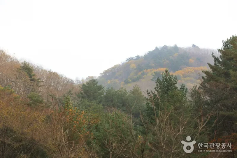 Gyebangsan Mountain - Pyeongchang (계방산 (평창)) (5/6)