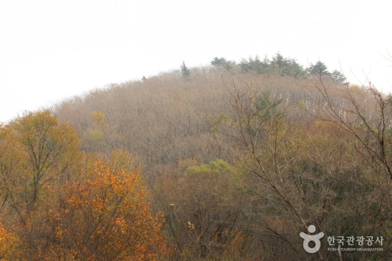 Gyebangsan Mountain - Pyeongchang (계방산 (평창)) (6/6)