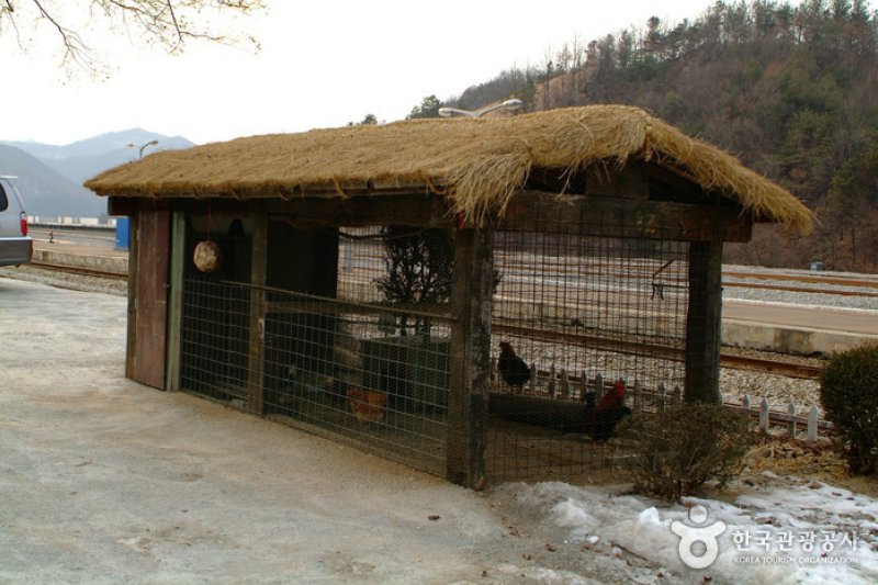 Kim Yujeong Station  (4/11)