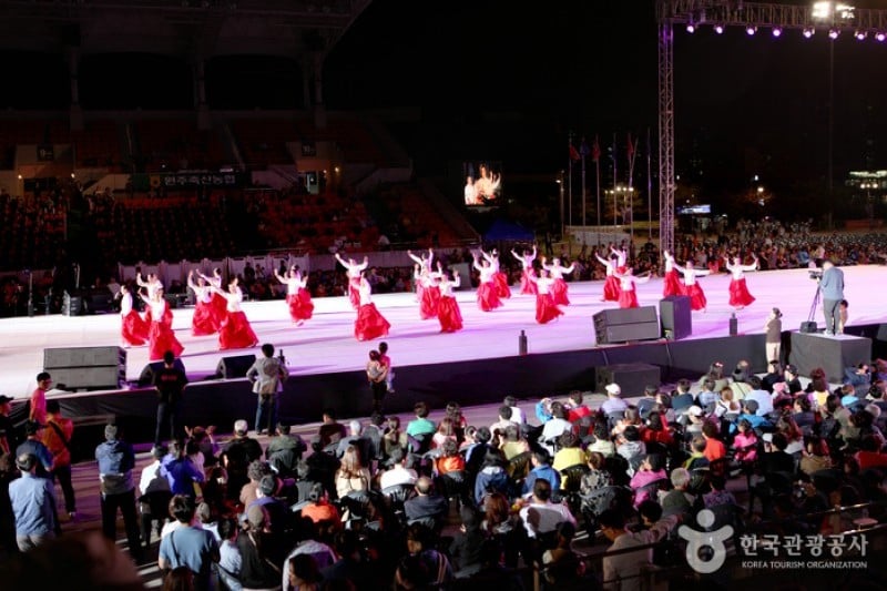 Wonju Dynamic Dancing Carnival  (15/39)