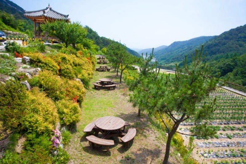 Voyager Pension - Goodstay  (10/26)