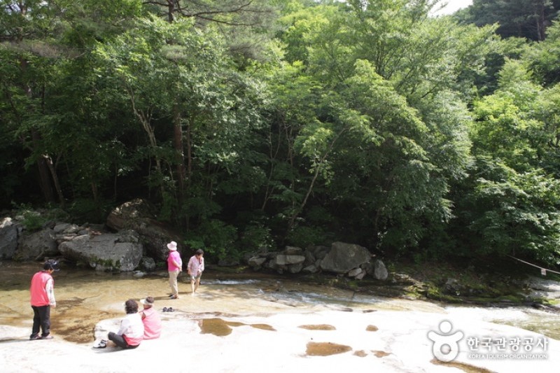 Bangtaesan Recreational Forest  (8/23)