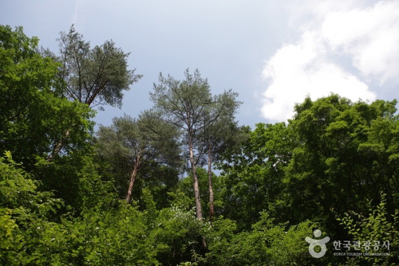 Bangtaesan Recreational Forest  (9/23)