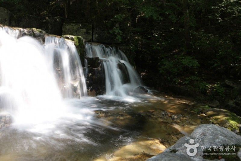 Bangtaesan Recreational Forest  (11/23)