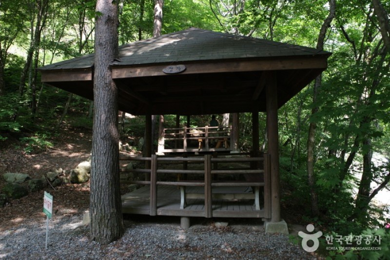Bangtaesan Recreational Forest  (13/23)