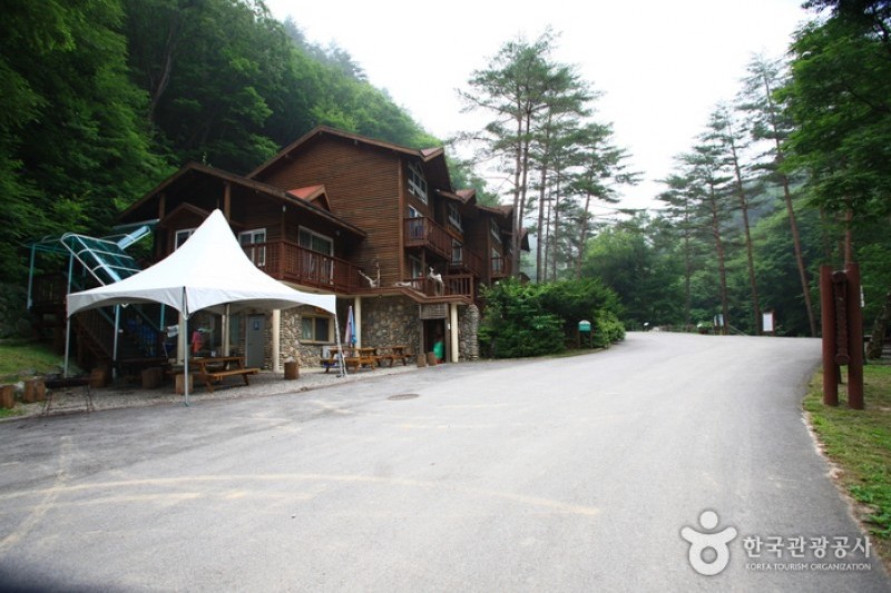 Bangtaesan Recreational Forest  (15/23)
