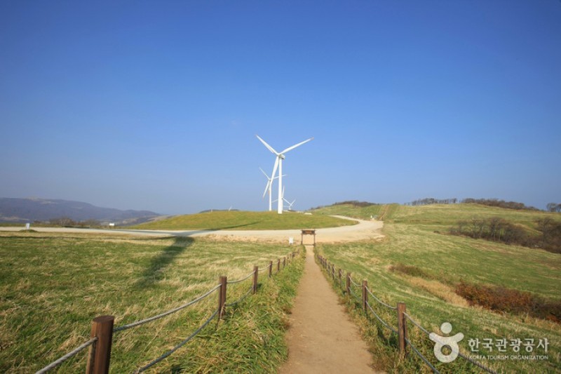 Eco Green Campus (Former, Samyang Ranch)  (3/29)
