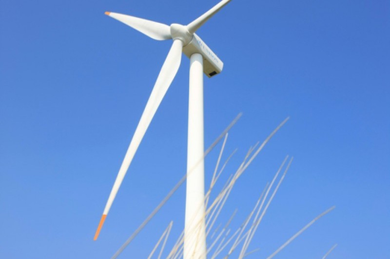 Eco Green Campus (Former, Samyang Ranch)  (4/29)