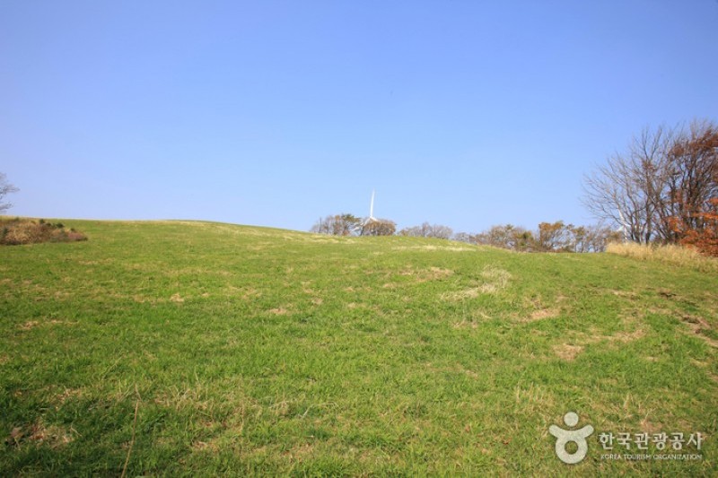 Eco Green Campus (Former, Samyang Ranch)  (5/29)