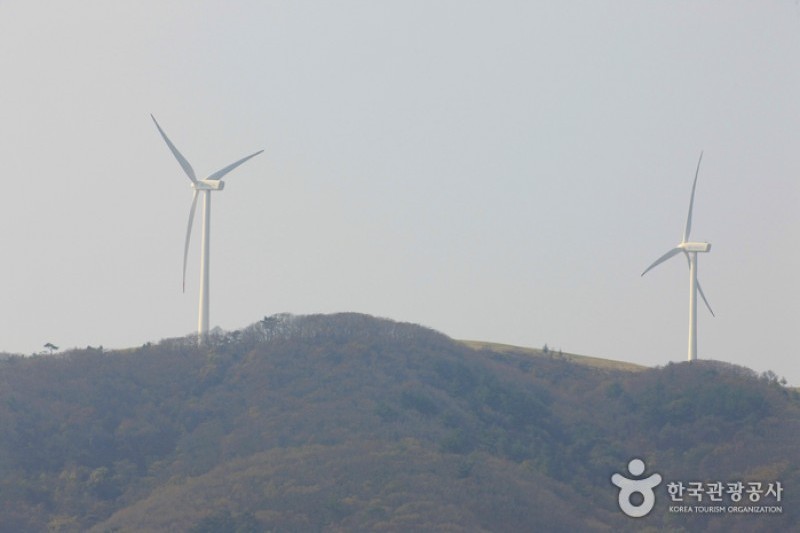 Eco Green Campus (Former, Samyang Ranch)  (9/29)