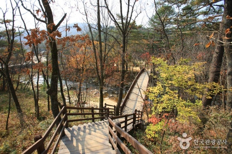 Eco Green Campus (Former, Samyang Ranch)  (13/29)