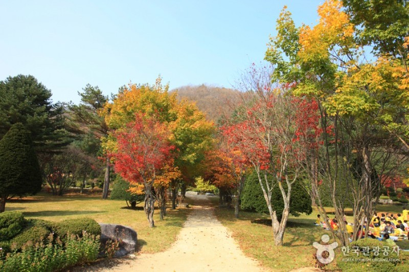 Eco Green Campus (Former, Samyang Ranch)  (14/29)