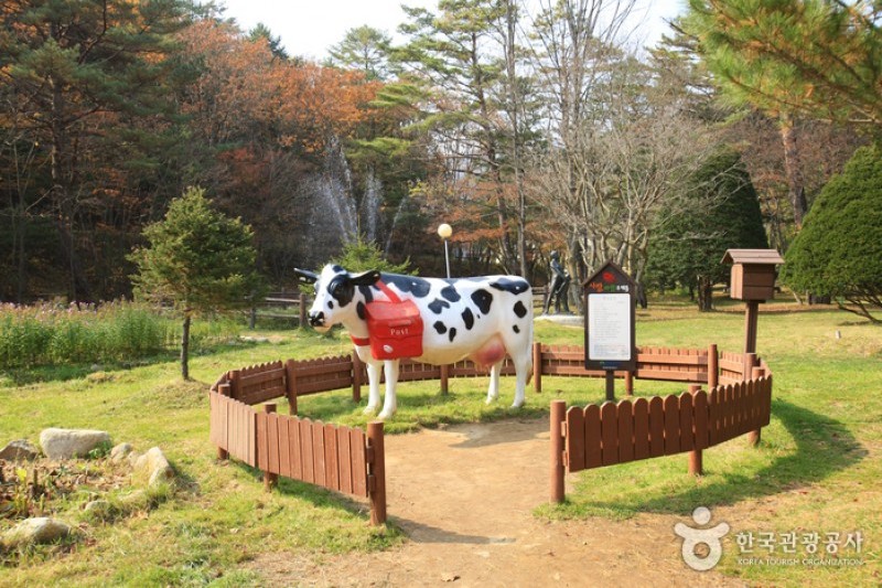 Eco Green Campus (Former, Samyang Ranch)  (15/29)