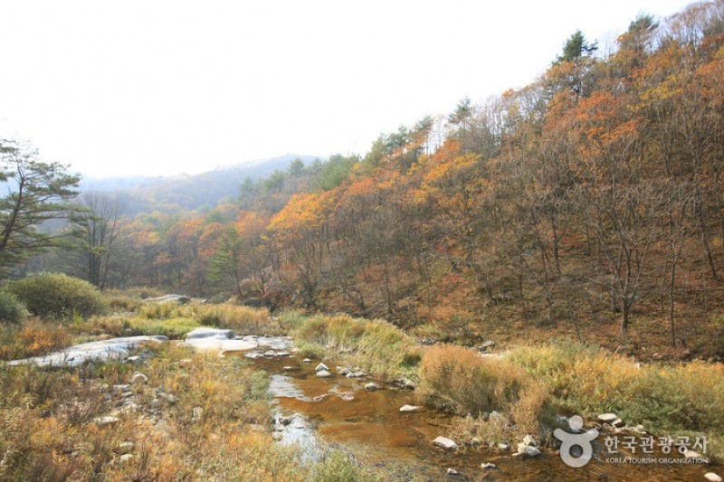 Eco Green Campus (Former, Samyang Ranch)  (17/29)