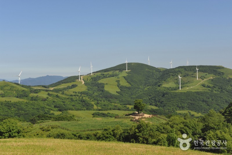 Eco Green Campus (Former, Samyang Ranch)  (18/29)
