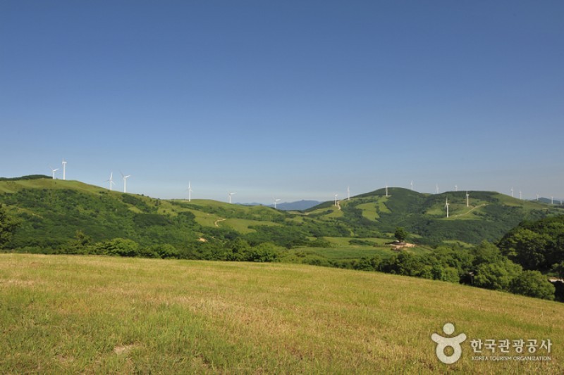 Eco Green Campus (Former, Samyang Ranch)  (19/29)