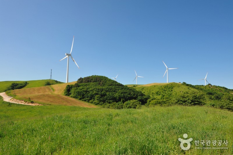 Eco Green Campus (Former, Samyang Ranch)  (21/29)