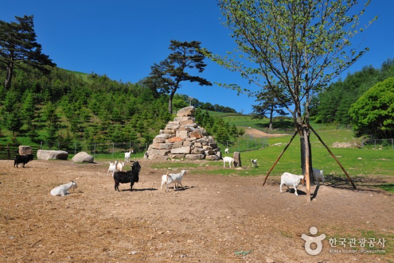 Eco Green Campus (Former, Samyang Ranch)  (22/29)