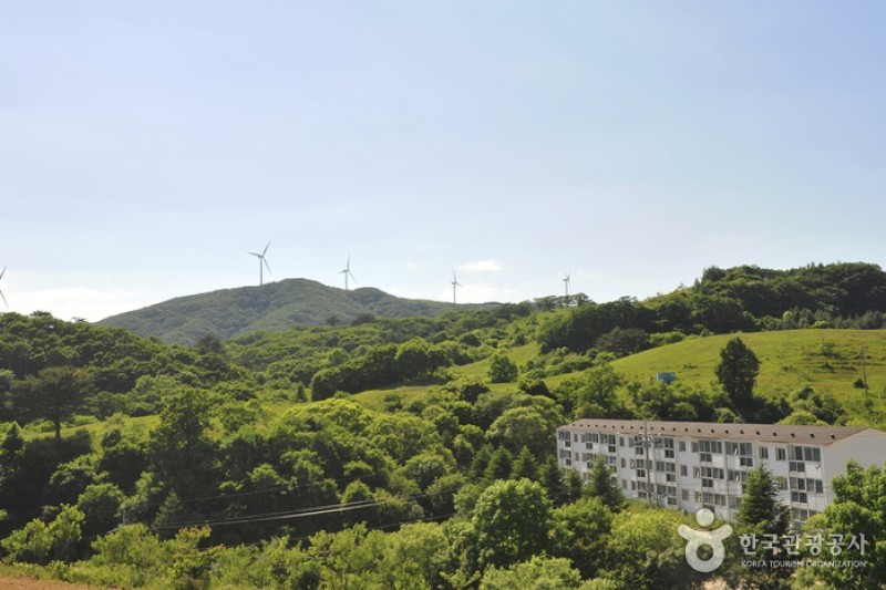 Eco Green Campus (Former, Samyang Ranch)  (23/29)