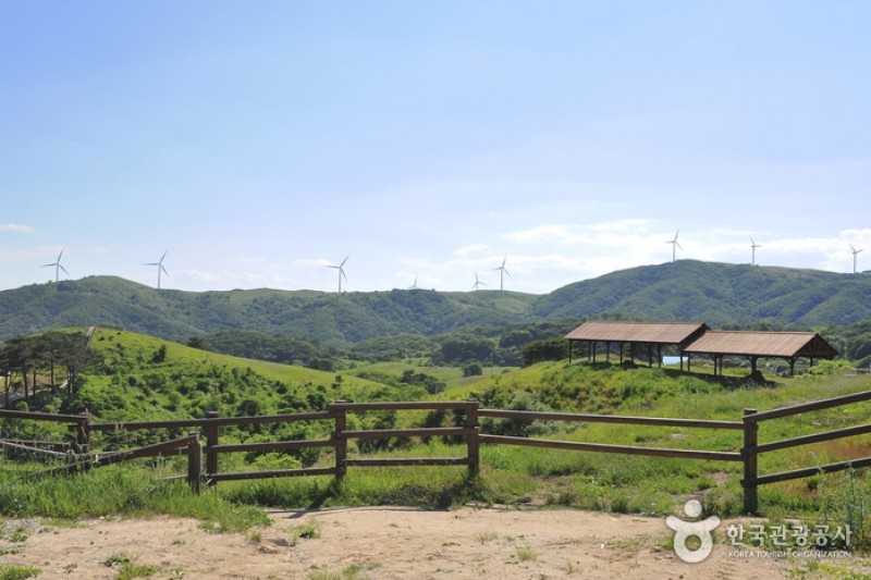 Eco Green Campus (Former, Samyang Ranch)  (24/29)
