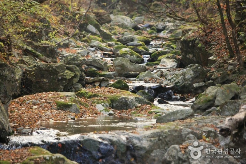 Odaesan National Park  (3/10)