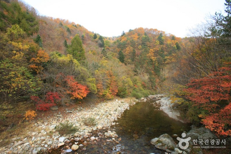 Odaesan National Park  (4/10)