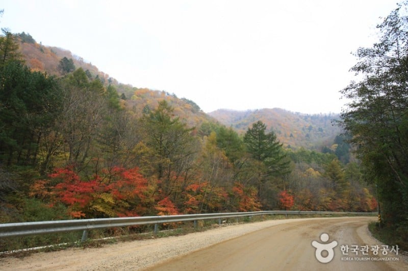 Odaesan National Park  (5/10)