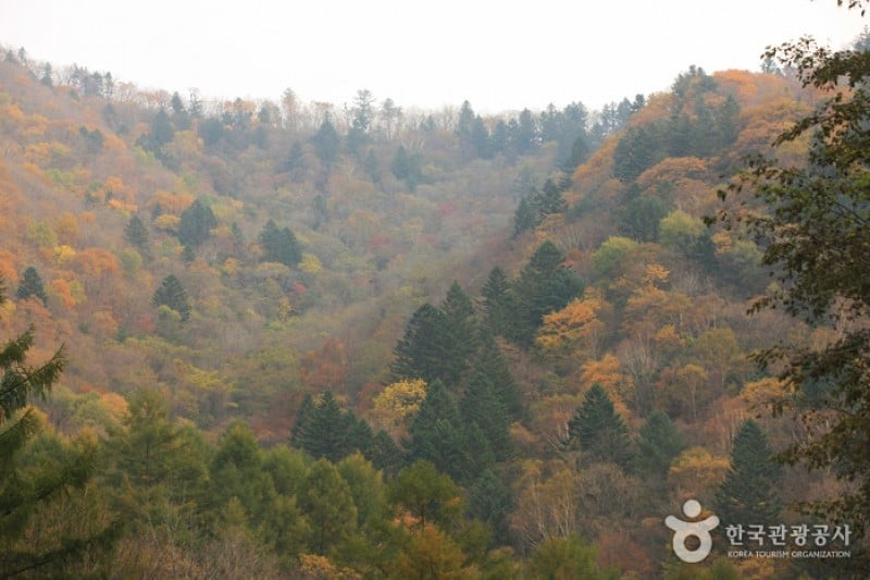 Odaesan National Park  (6/10)