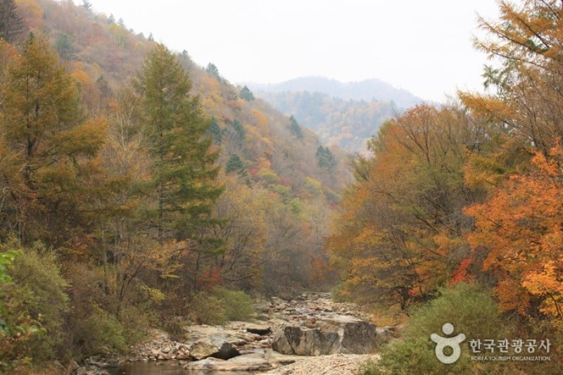 Odaesan National Park  (7/10)