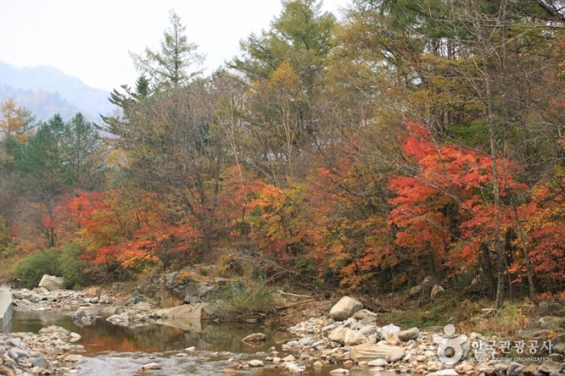 Odaesan National Park  (8/10)