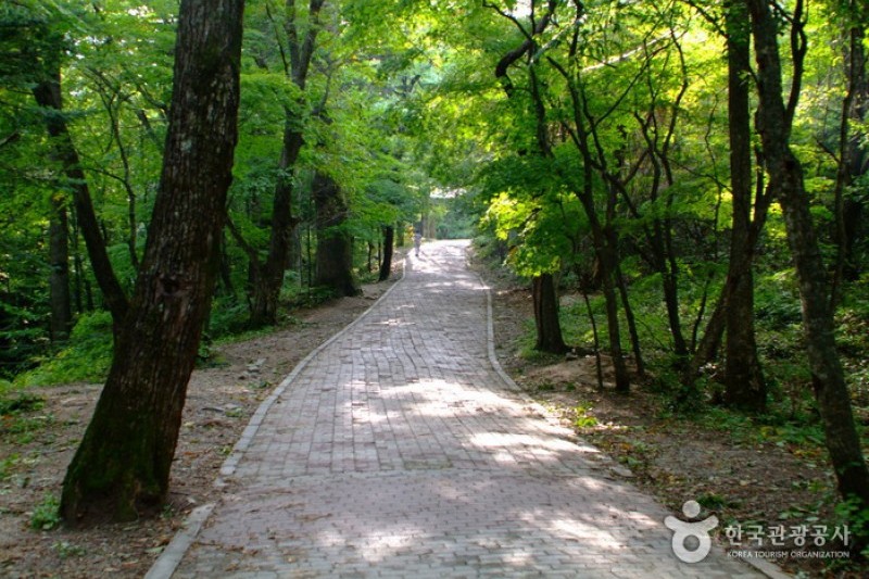Odaesan National Park  (10/10)