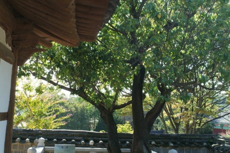 Ojukheon House  (15/24)