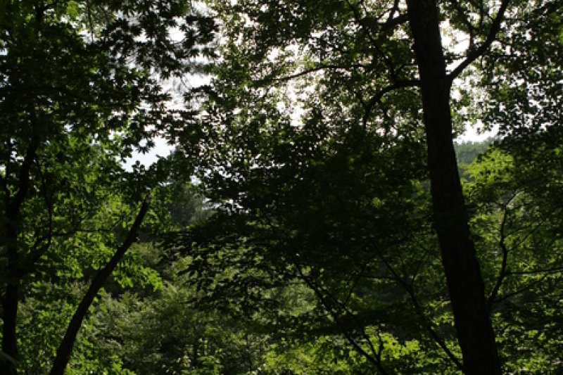 Bangtaesan Mountain  (2/2)