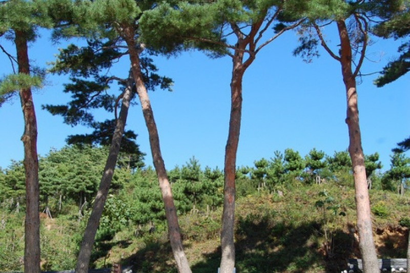 Naksansa Temple  (9/69)