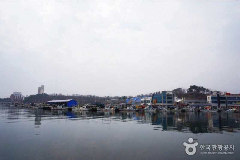 Daepohang Port  (3/23)