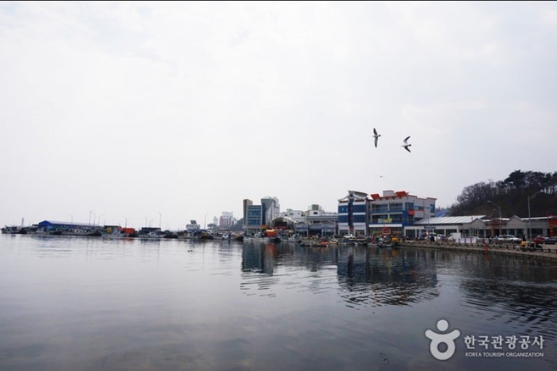 Daepohang Port  (4/23)
