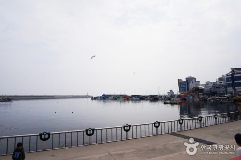 Daepohang Port  (6/23)