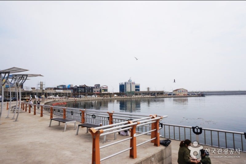 Daepohang Port  (7/23)