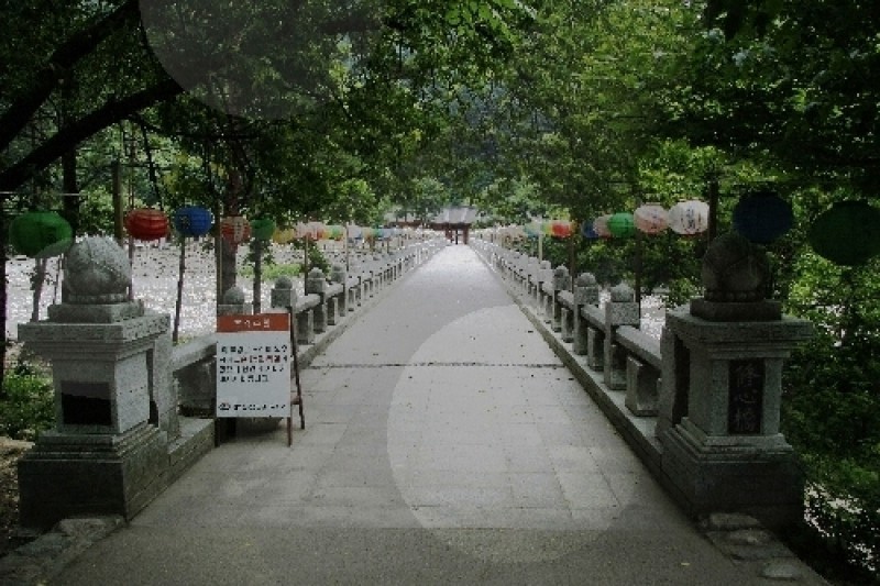 Baekdamsa Temple  (2/20)