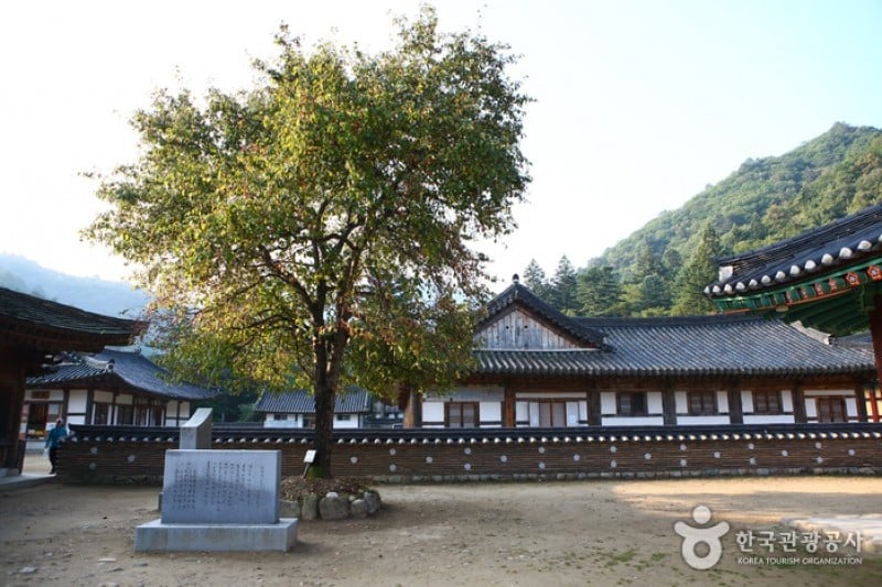 Baekdamsa Temple  (4/20)