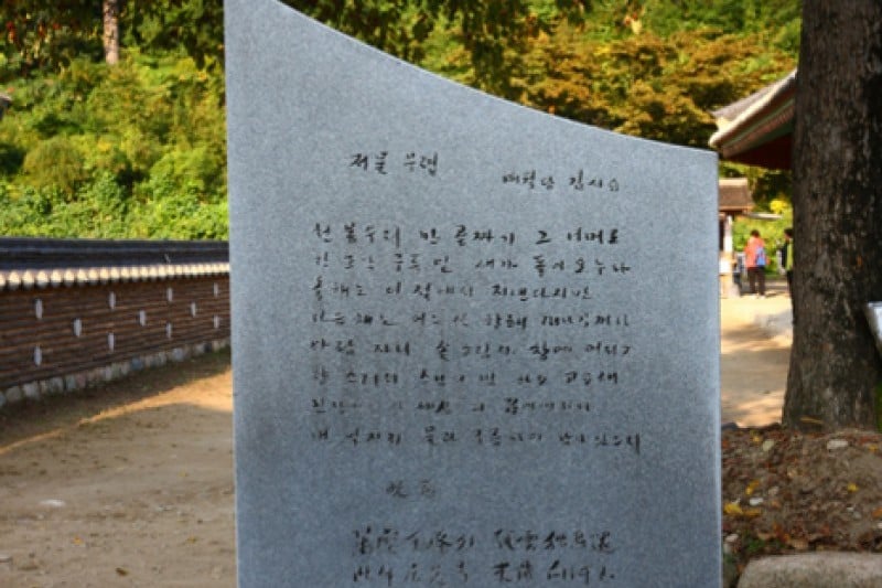Baekdamsa Temple  (5/20)