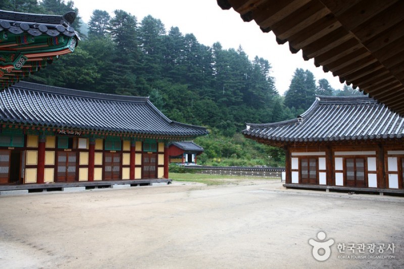 Baekdamsa Temple  (7/20)